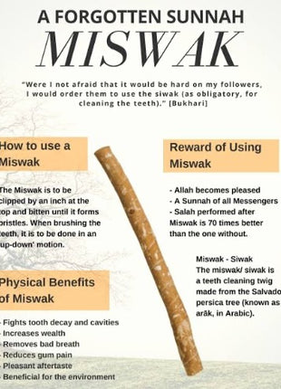 Thin Olive Miswak