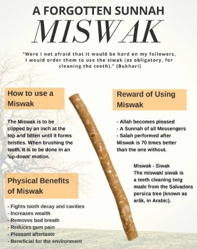 Thin Olive Miswak