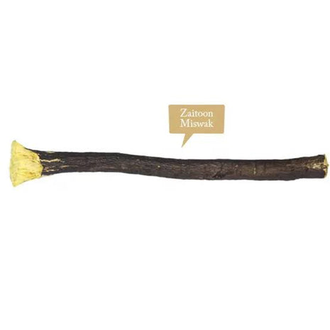 Olive Miswak