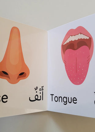 My First book on my body