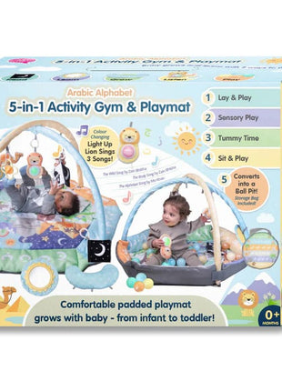 5 in 1 Activity Gym and Playmat
