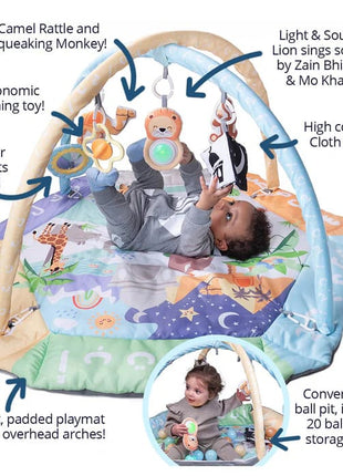 5 in 1 Activity Gym and Playmat