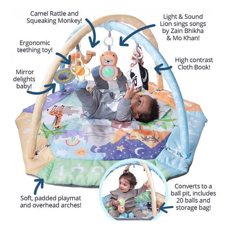 5 in 1 Activity Gym and Playmat