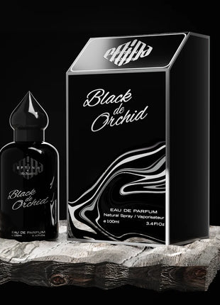 EFTINA-BLACK de ORCHID