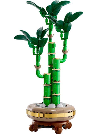 Lego Botanical Collection - lucky bamboo