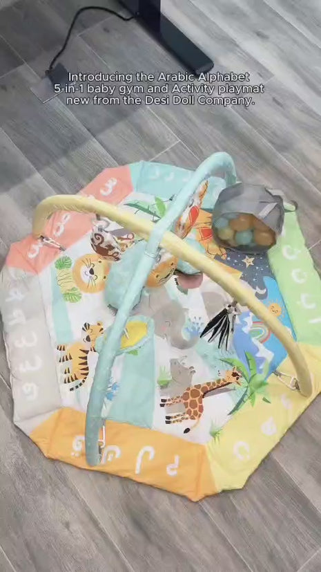 5 in 1 Activity Gym and Playmat