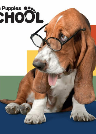 Hush Puppies School Sneakers