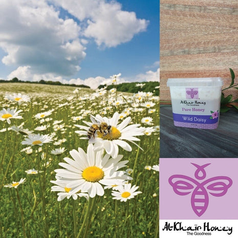 Al Khair Honey - Wild Daisy (1kg Tub)
