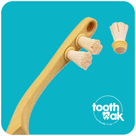Toothwak Miswak