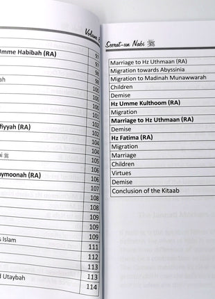 Seeratun Nabi Vol 8