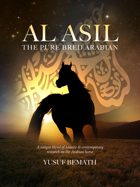 AL ASIL The Pure Bred Arabian