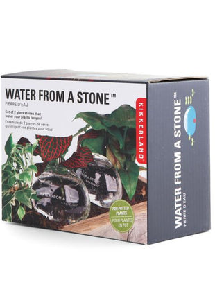 Kikkerland - Water From A Stone