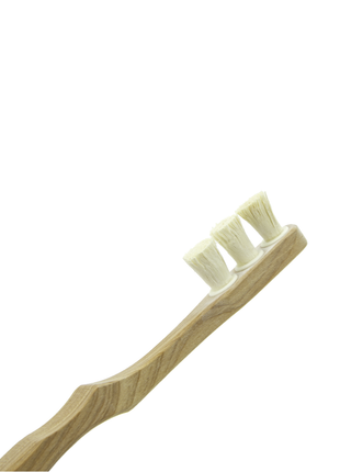 Toothwak Miswak