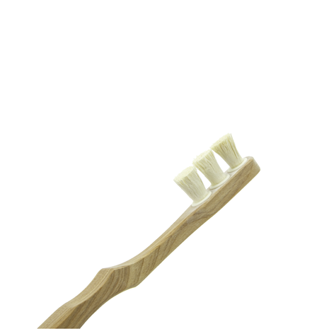 Toothwak Miswak
