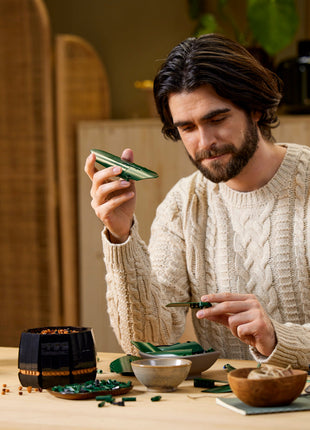 Lego Botanical Collection - Birds of Paradise