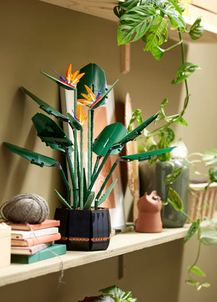 Lego Botanical Collection - Birds of Paradise